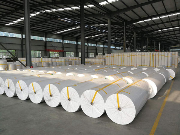 彬县狭缝式涤纶纺粘无纺布
